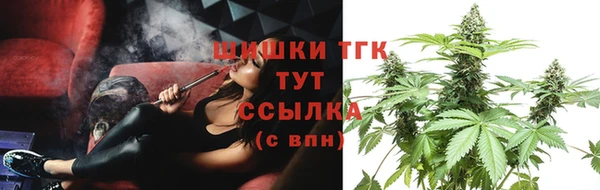 тгк Алзамай