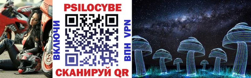 Псилоцибиновые грибы Cubensis  Калязин 